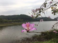 -水濂山水库景点停车场