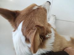 -平行世界·猫咖(首经贸店)