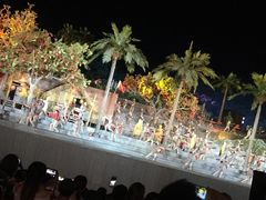 -三亚红色娘子军演艺公园景区