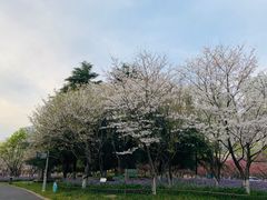 -白塘生态植物园