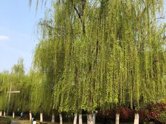 -武汉园博园(武汉自然博物馆)
