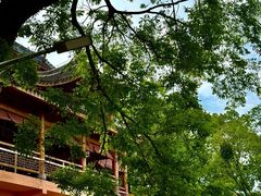 -涂山寺素食餐厅