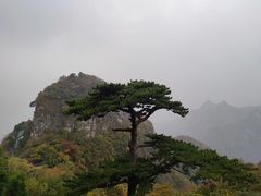 -圣莲山风景区