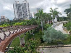 -金鸡岭桥头公园