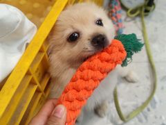 -汤小云火锅米线(钻汇广场店)