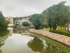 -乌石塘景区