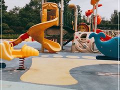 -铁山坪森林公园