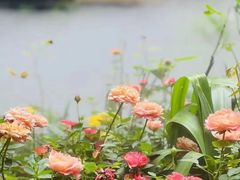 -大妙火锅·非物质文化遗产(东湖公园店)