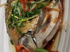 葱烧武昌鱼-湖锦酒楼·31年地道湖北菜(黄鹤楼店)
