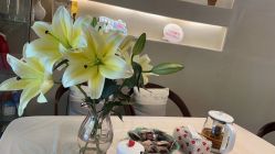 -唯伊美塑身美养连锁