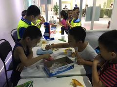 -常青藤国际象棋(新奥店)