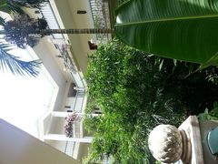 -三亚亚龙湾凯莱仙人掌度假酒店