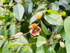 -上海市保健医疗中心