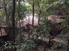 -天门沟九州驿站树上汤泉