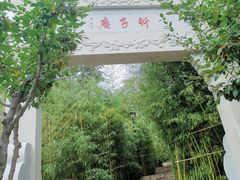 -竹子庵公园