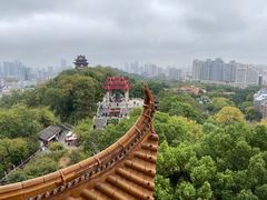 -黄鹤楼公园(黄鹤楼)