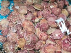 -和源祥·日照菜扛把子(万平口一店)