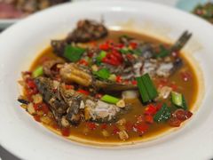 汪刺鱼红烧-老馆子·建德菜·山肴鱼鲜(海威新界店)