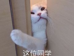 -金凤成祥(通州东关店)