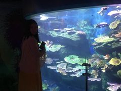 -暹罗海洋世界