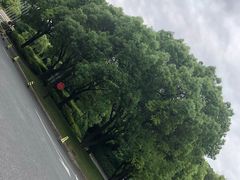 -佘山世茂艾美·御珍轩中餐厅