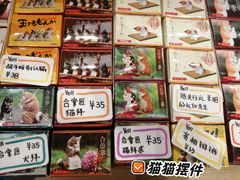 -猫的天空之城概念书店(印象城购物中心店)
