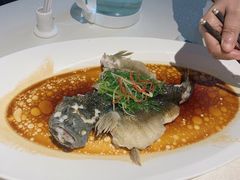 清蒸笋壳鱼-维园悦谱·海派家常菜(乌鲁木齐南路店)