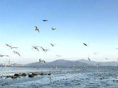 -深圳湾公园(南山区)