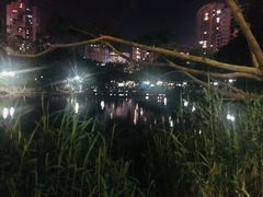 -江头公园