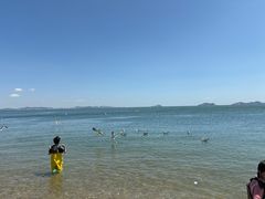 -棒棰岛宾馆景区