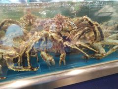-盒马鲜生(大成店)