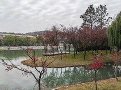 -上海佘山茂御臻品之选酒店(原佘山艾美酒店)