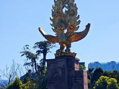 -洱海月湿地公园