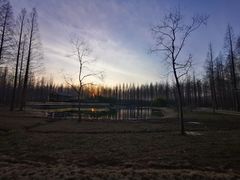 -黄海国家森林公园