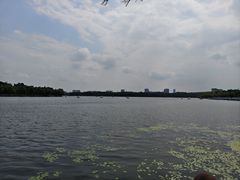 -长春市南湖公园