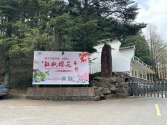 -四明山国家森林公园
