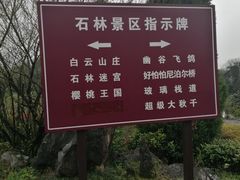 -千岛湖石林