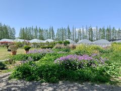 -前小桔亲子创意农场·草莓采摘·露营烧烤