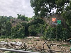 -宁波野生动物园