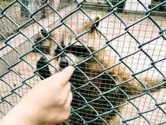 -西安秦岭野生动物园