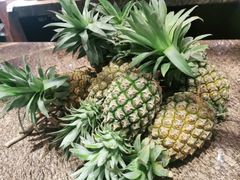 -南堂館川菜文化餐厅(天府店)