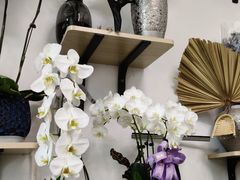 -FEI FEI FLOWER鲜花店·气球派对·宝宝宴布置(虹口德必运动Loft店)