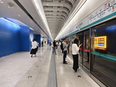 -望京西(地铁站)