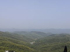 -蔡伦竹海