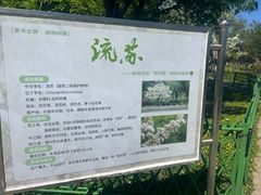 -泰丰公园