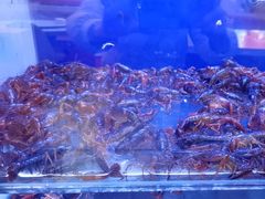 -虾铺子龙虾·私房菜(金源花苑店)
