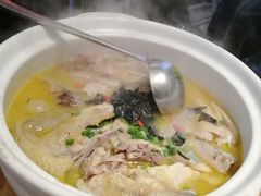 岩耳神仙鸡-印象鲵宴·张家界地标美食名片(溪布街店)