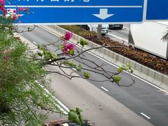 -山顶缆车