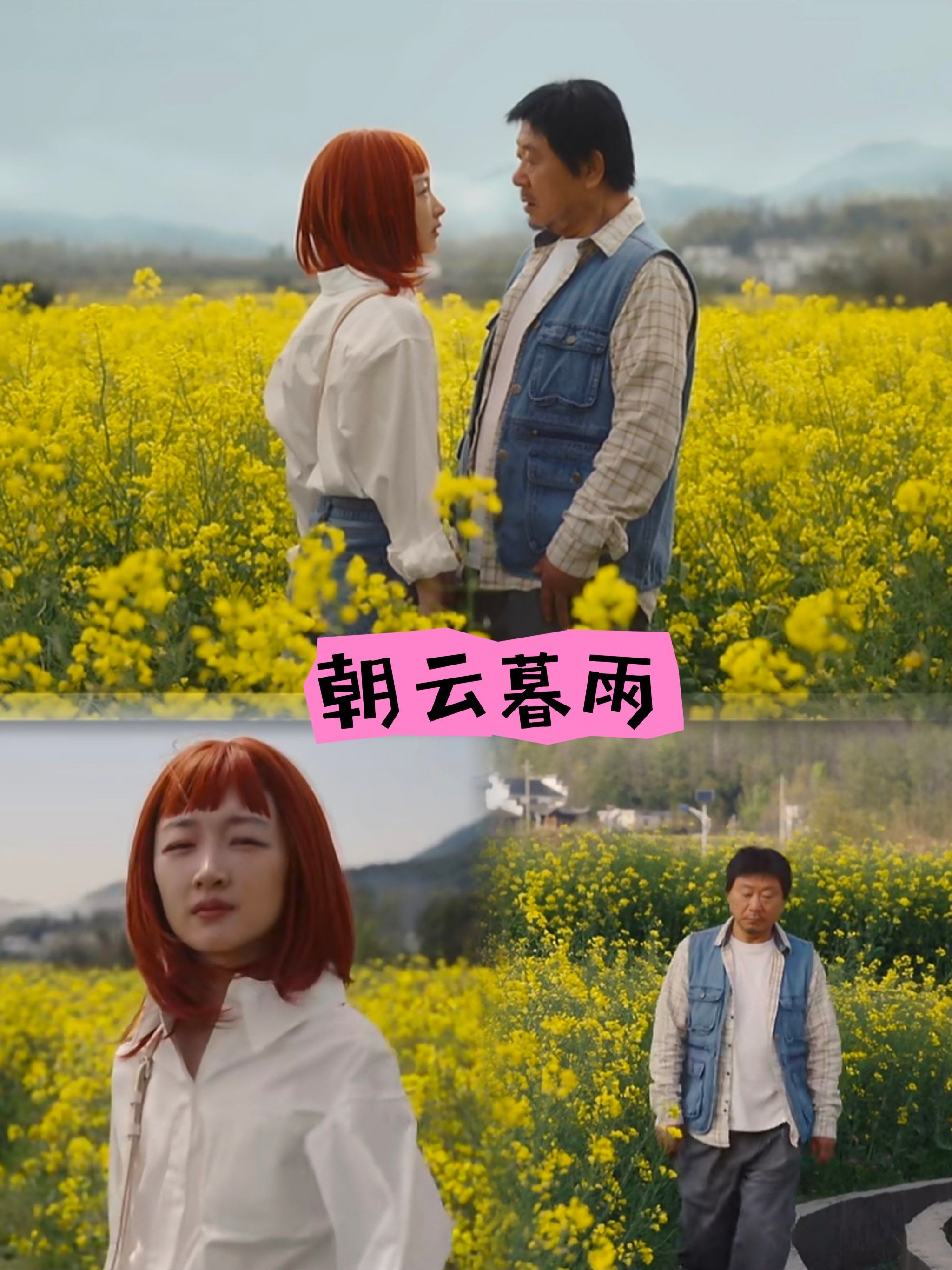 朝云暮雨|电影可以冷门但不能邪门啊