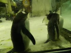-大连圣亚海洋世界